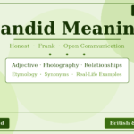 candid meaning