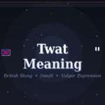 twat meaning