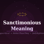 sanctimonious meaning