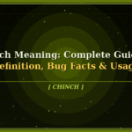 chinch meaning
