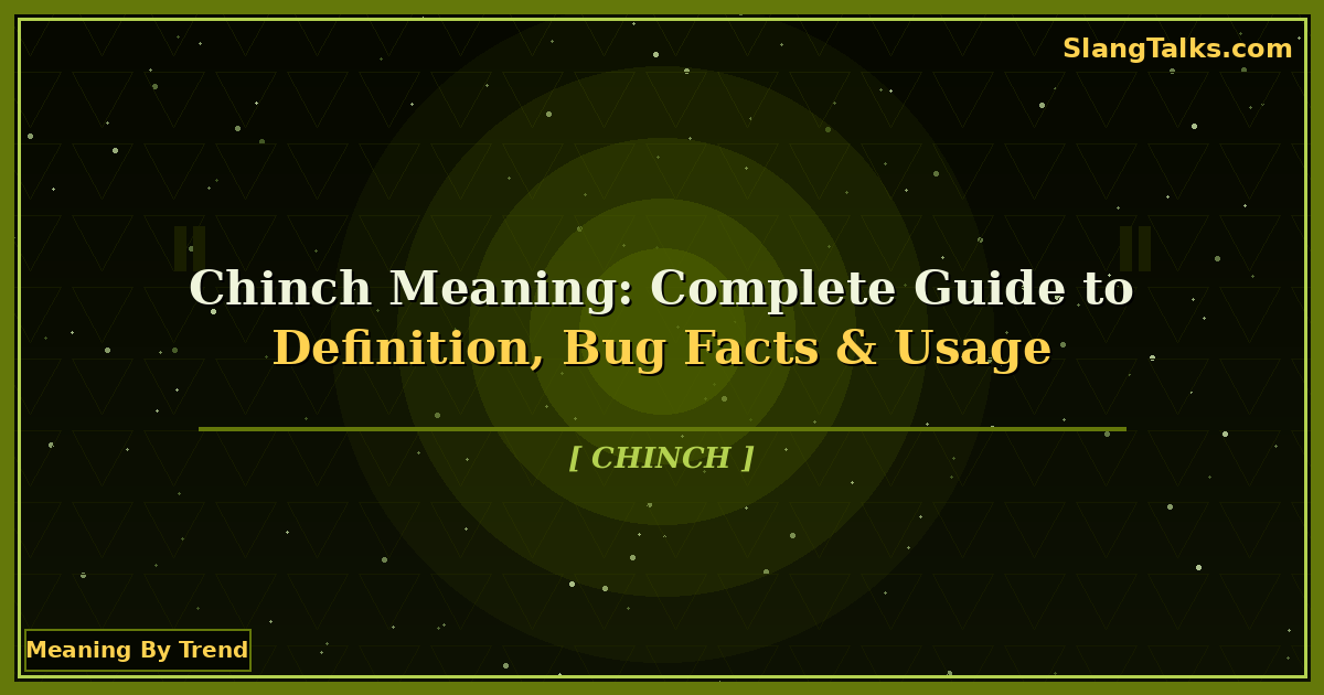 chinch meaning