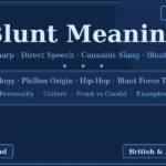 blunt meaning
