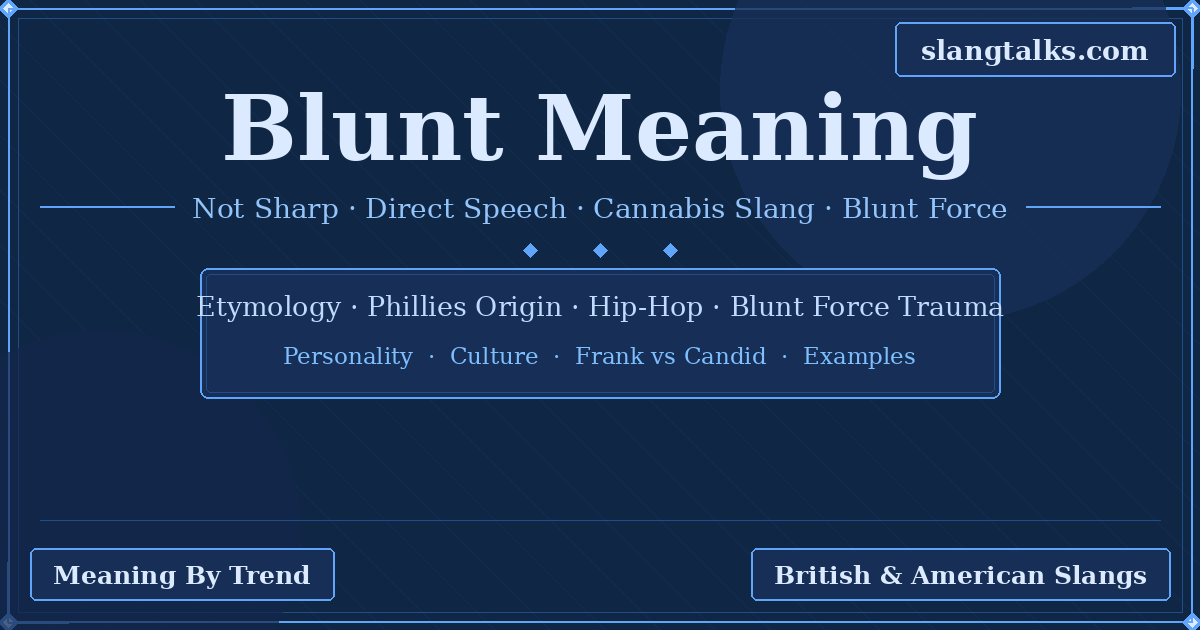 blunt meaning