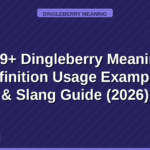 dingleberry meaning