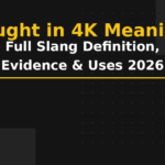 caught in 4k meaning
