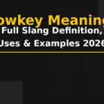 lowkey meaning