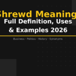 shrewd meaning