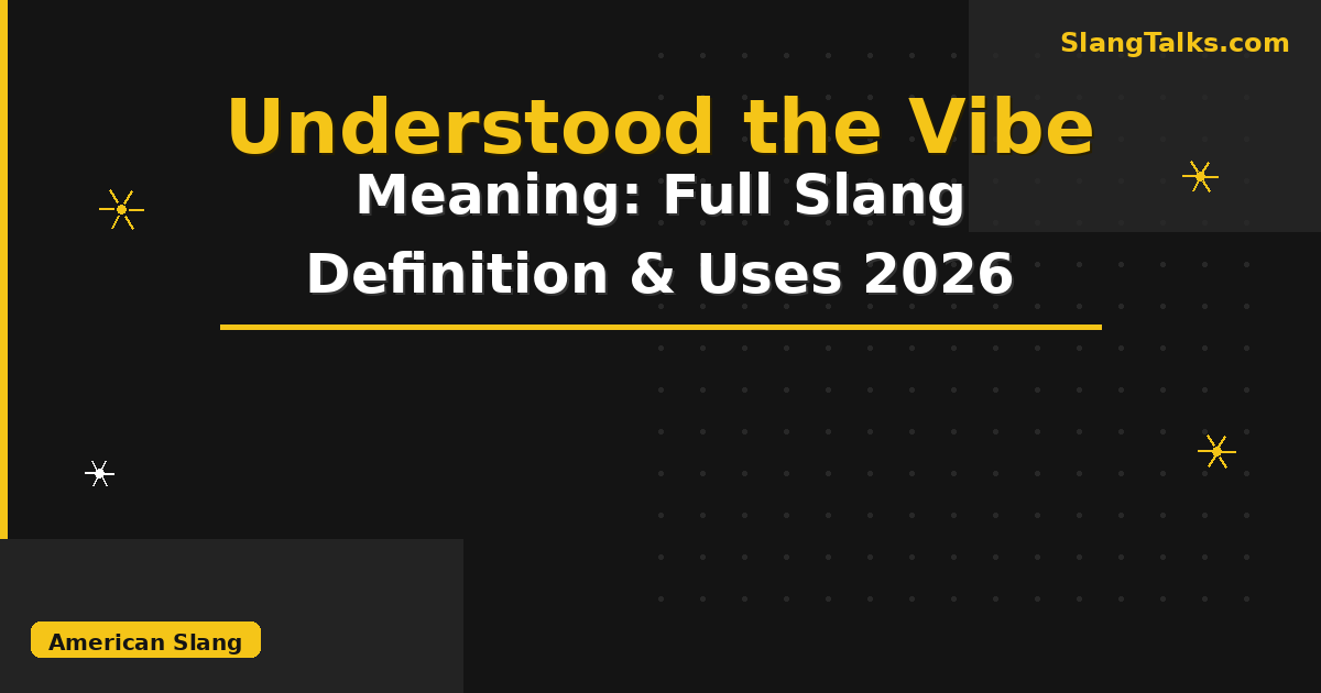 understood the vibe meaning