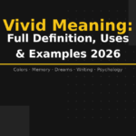 vivid meaning