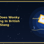 what does wonky meaning in british slang