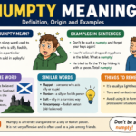 numpty meaning