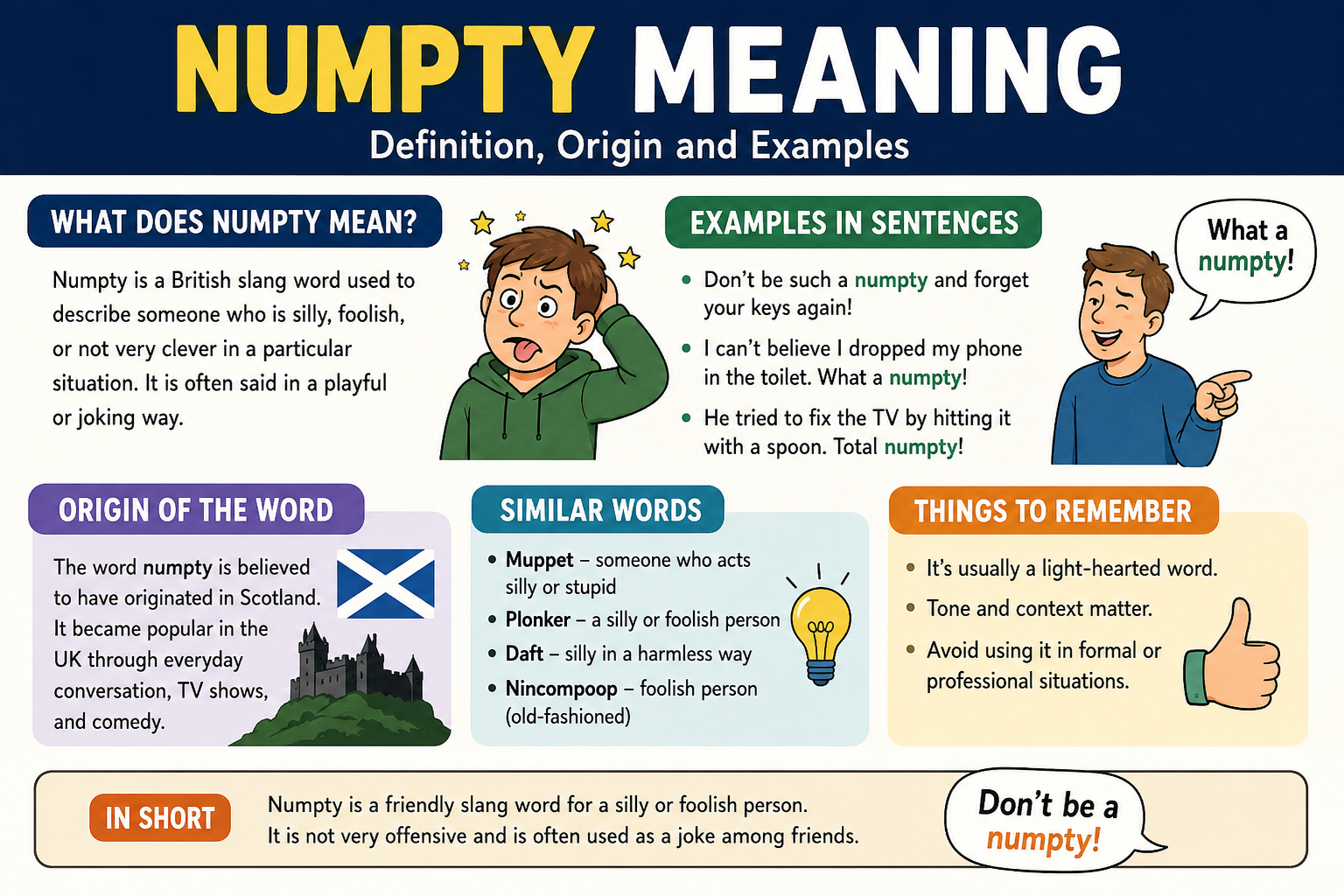 numpty meaning